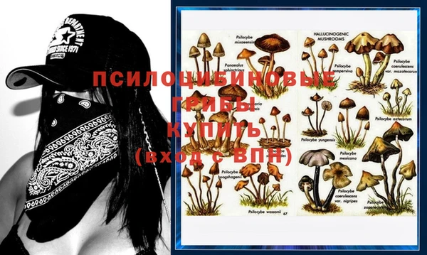 шишки Остров