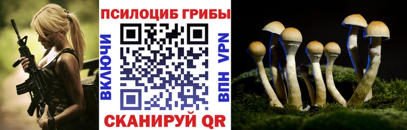 Галлюциногенные грибы мицелий Чкаловск